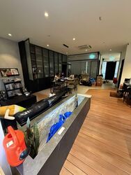 Veerasamy Road (D8), Shop House #555309101
